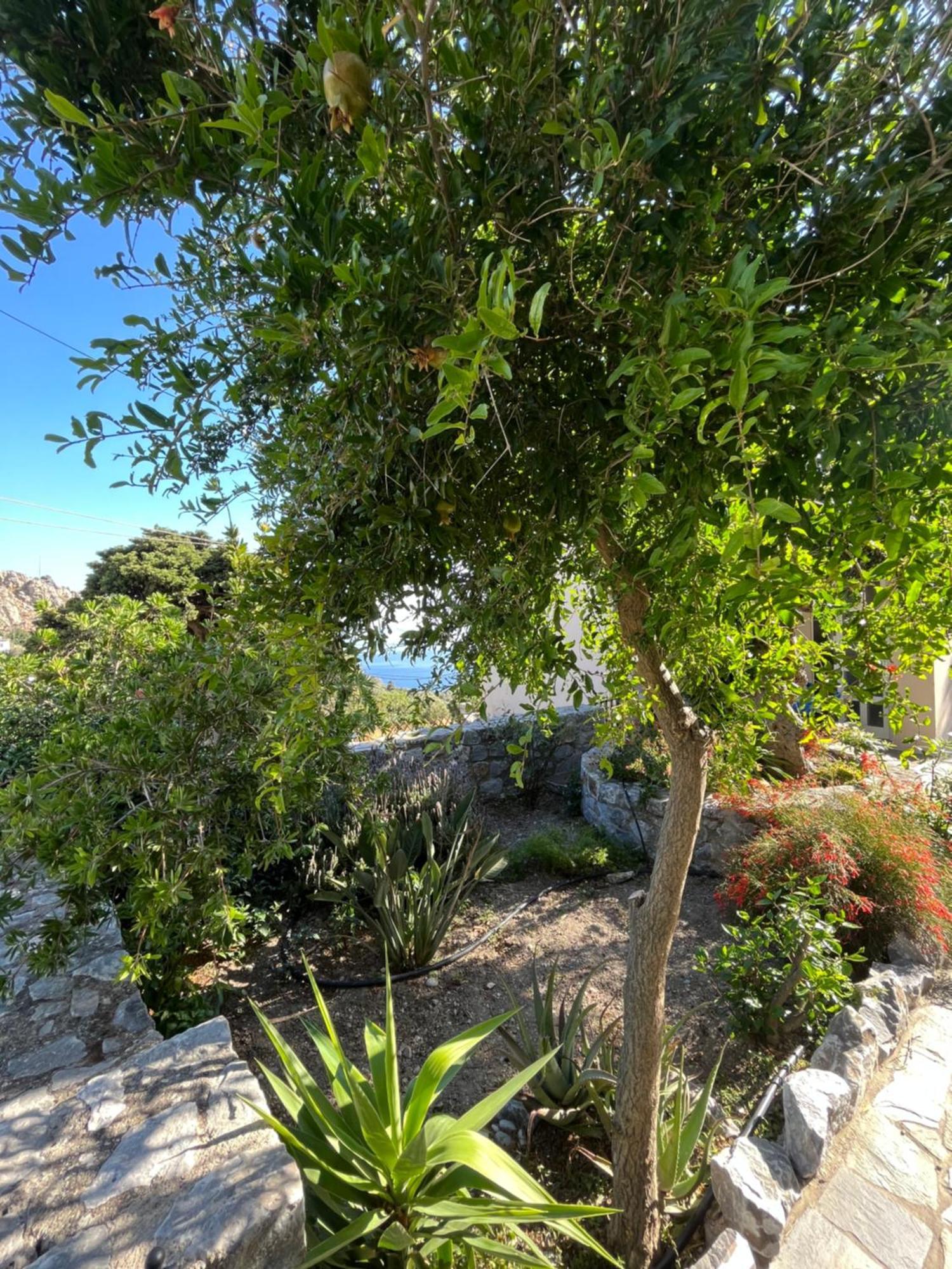 SellíaPetasos House - Garden - Sea View别墅 外观 照片
