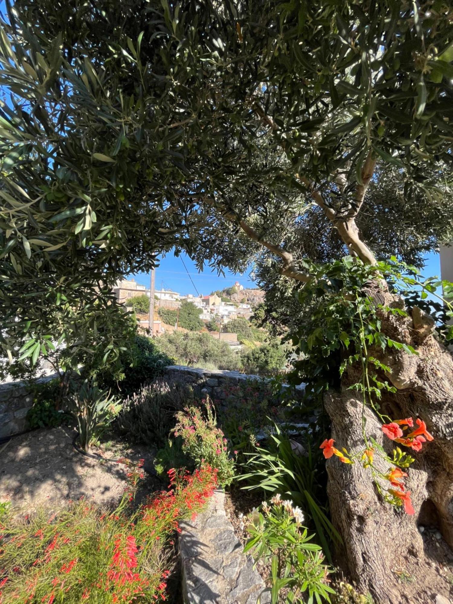SellíaPetasos House - Garden - Sea View别墅 外观 照片